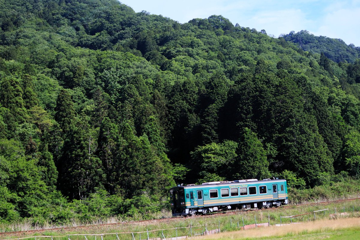 d51tom's tweet photo. 信楽高原鉄道に昨年からオーナーになっ枕木を確認訪問。
同時に新緑の中の信楽高原鉄道を撮影。
#信楽高原鉄道
#枕木オーナー
#日雲神社
#信楽 https://t.co/47I4tckEgq