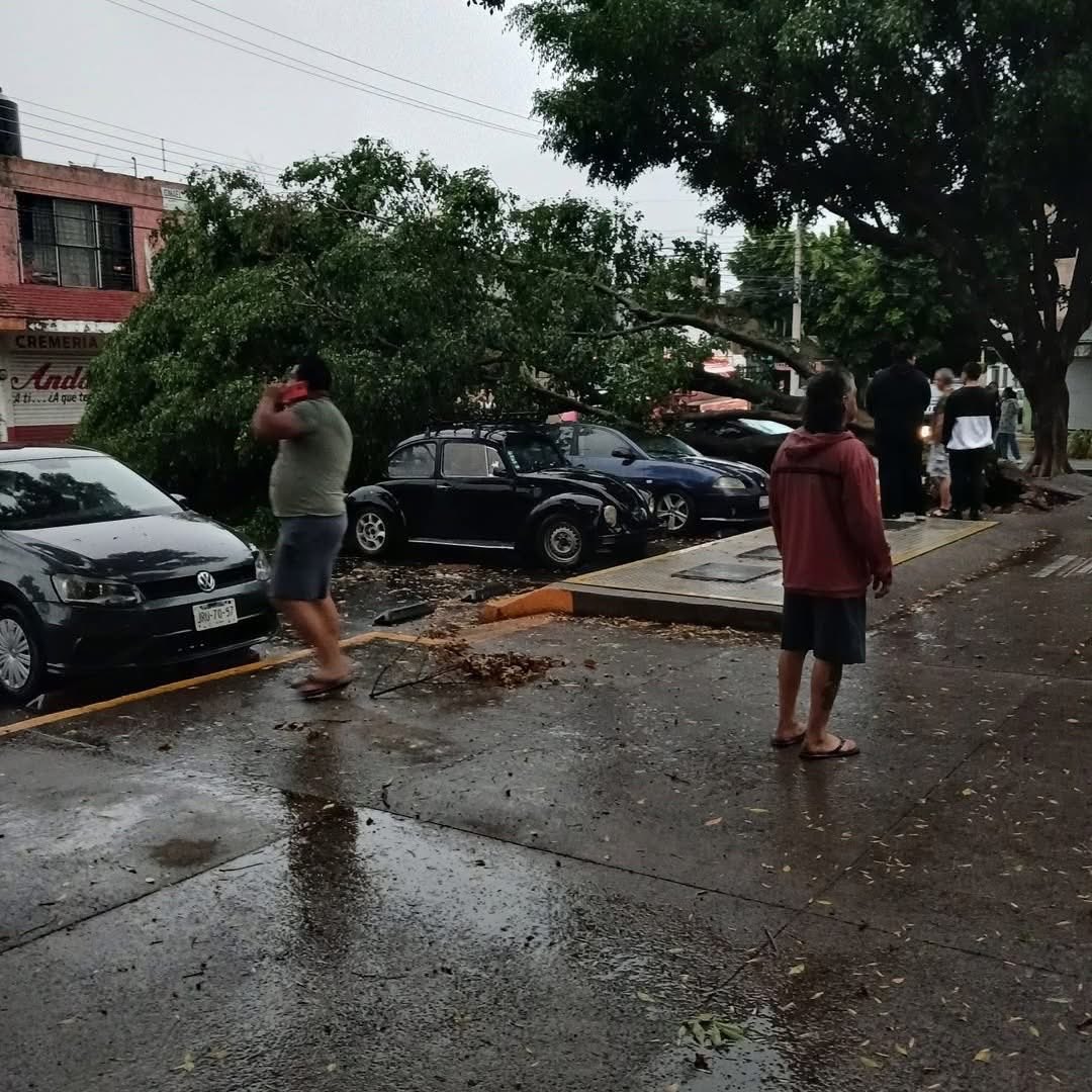 #Jalisco | Lluvia de este domingo deja inundaciones y al menos 29 ...