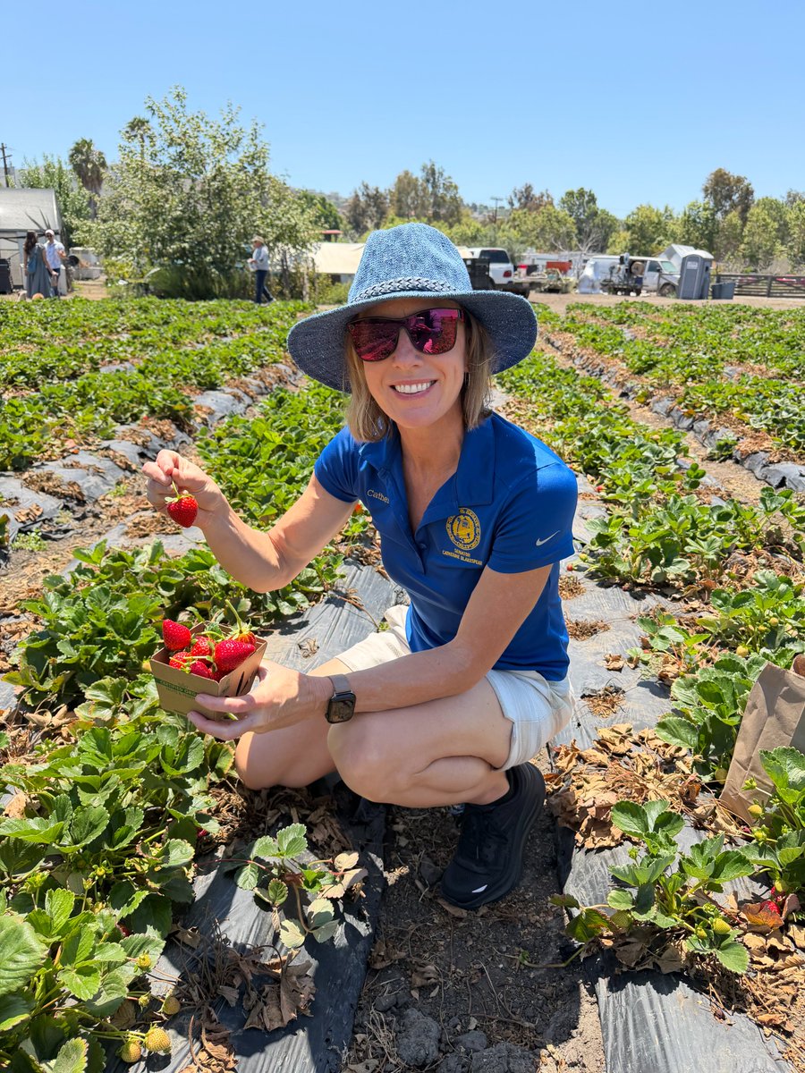 Cblakespear's tweet photo. What a beautiful morning at The Ecology Center in San Juan Capistrano! 🍓 

Thank you to everyone who joined me for a Sunday morning spent picking strawberries and blackberries, catching up with friends and neighbors, and enjoying one of Orange County’s truly special places. https://t.co/22XMXtJn4p
