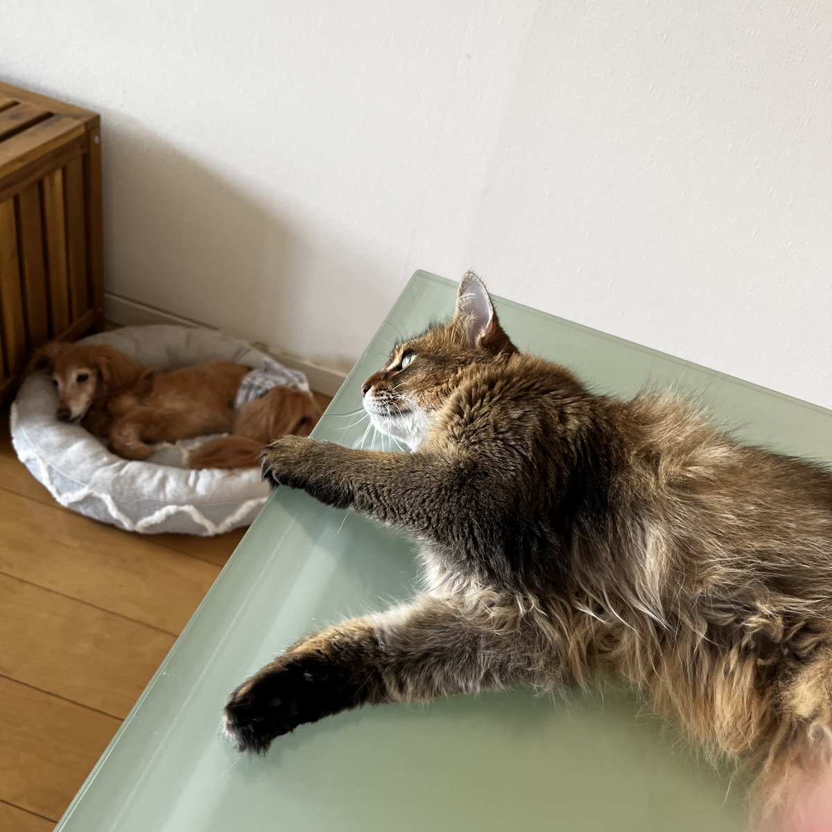 maru_44's tweet photo. 今日も暑いけど頑張ろうねー！ https://t.co/X3Zhdpok1o
