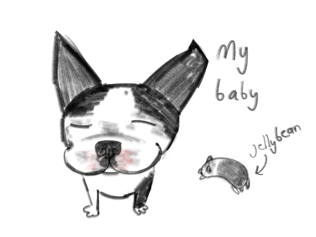 arachnidRay's tweet photo. i miss you my sweet little jellybean https://t.co/xZda2sLtro