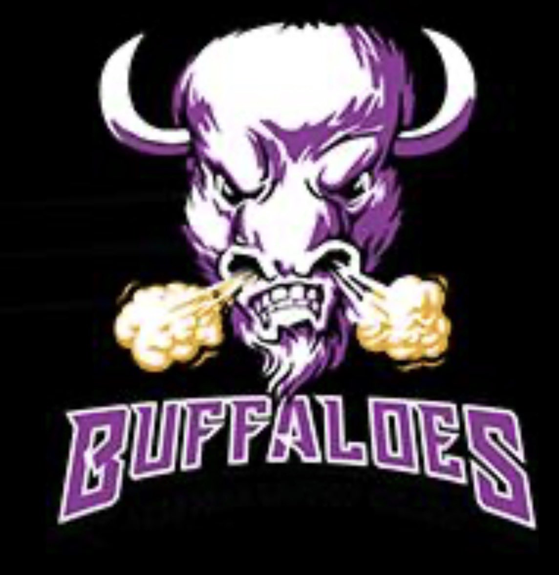 semmieG4's tweet photo. #AGTG After a great camp and conversation with @coachbailey_abc I’m blessed to receive my first collegiate offer from  @ABC_Buffaloes  

@CoachTylerClark @GentryPioneerFB @EvittTimothy https://t.co/NPrm3eycvB