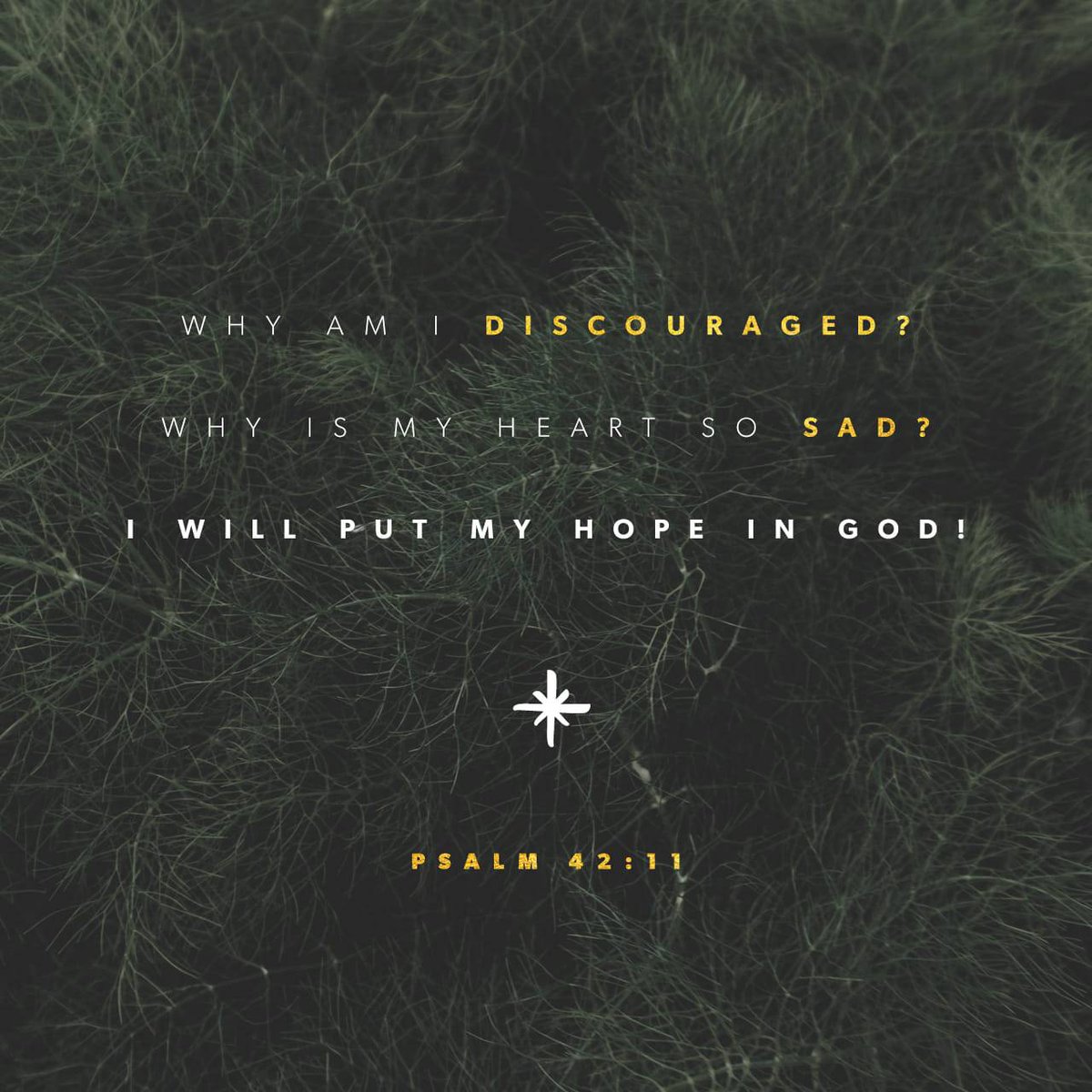 EssienEb's tweet photo. Psalms 42:11 NLT
[11] Why am I discouraged? Why is my heart so sad? I will put my hope in God! I will praise him again— my Savior and my God!

https://t.co/7dKeLE5f9C https://t.co/psqVDAQBFf