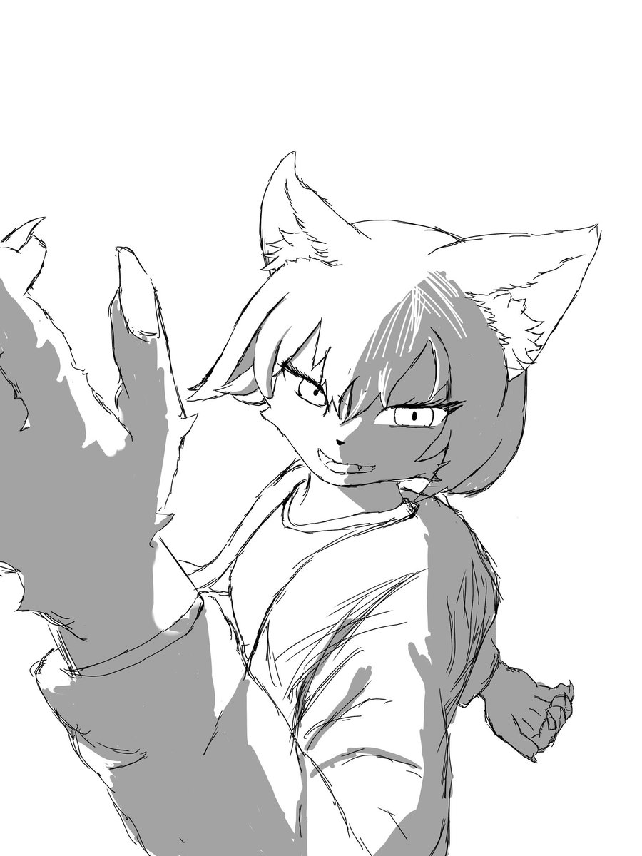 wen sumari tweet media