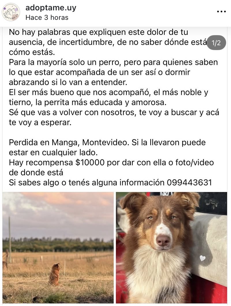 LuzForrisi's tweet photo. Que aparezca! 🙏🏼😔 https://t.co/Y4tJHKXxM4