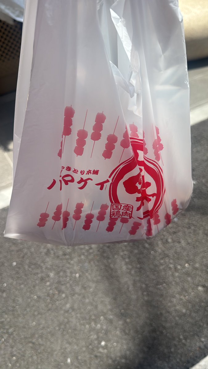 飲みに誘われたらからたくさん焼き鳥買ったよ✌️ 昼間から酒飲める奴