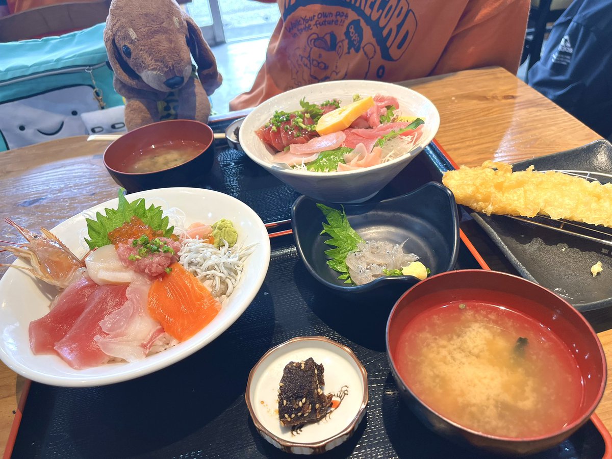 chinrika_1116's tweet photo. さらば静岡🍵！！
さらば山梨🍇！！
またあうひまでェ〜🐶！！！

（ｱｿﾋﾞｽｷﾞﾃ  ﾏﾀﾞ ｲｴ  ﾂｶﾈｪﾔ …） https://t.co/UAtV2ckjMZ
