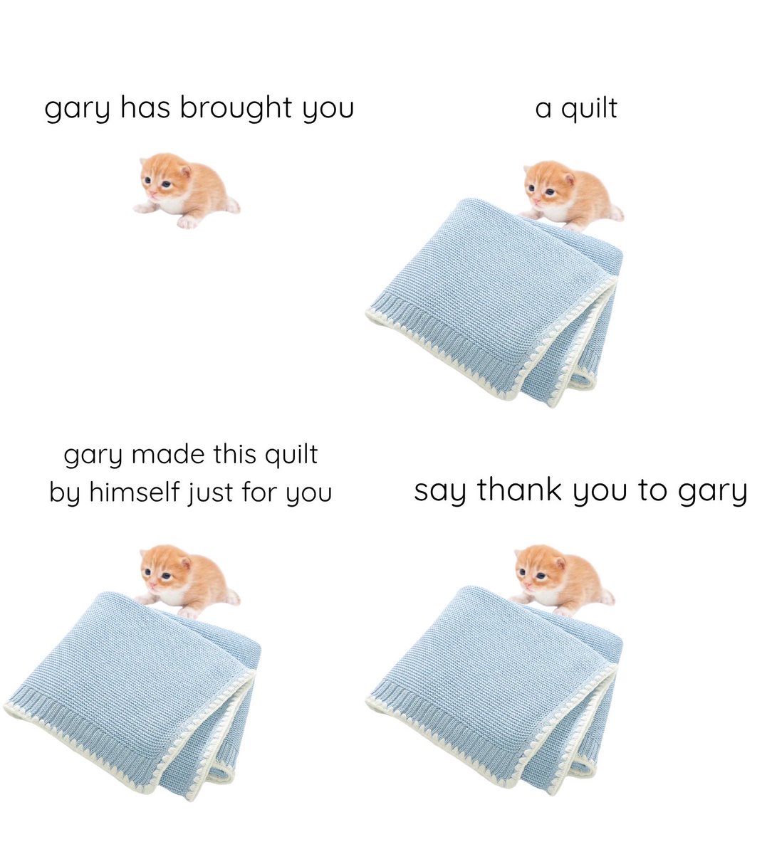 gary tweet media