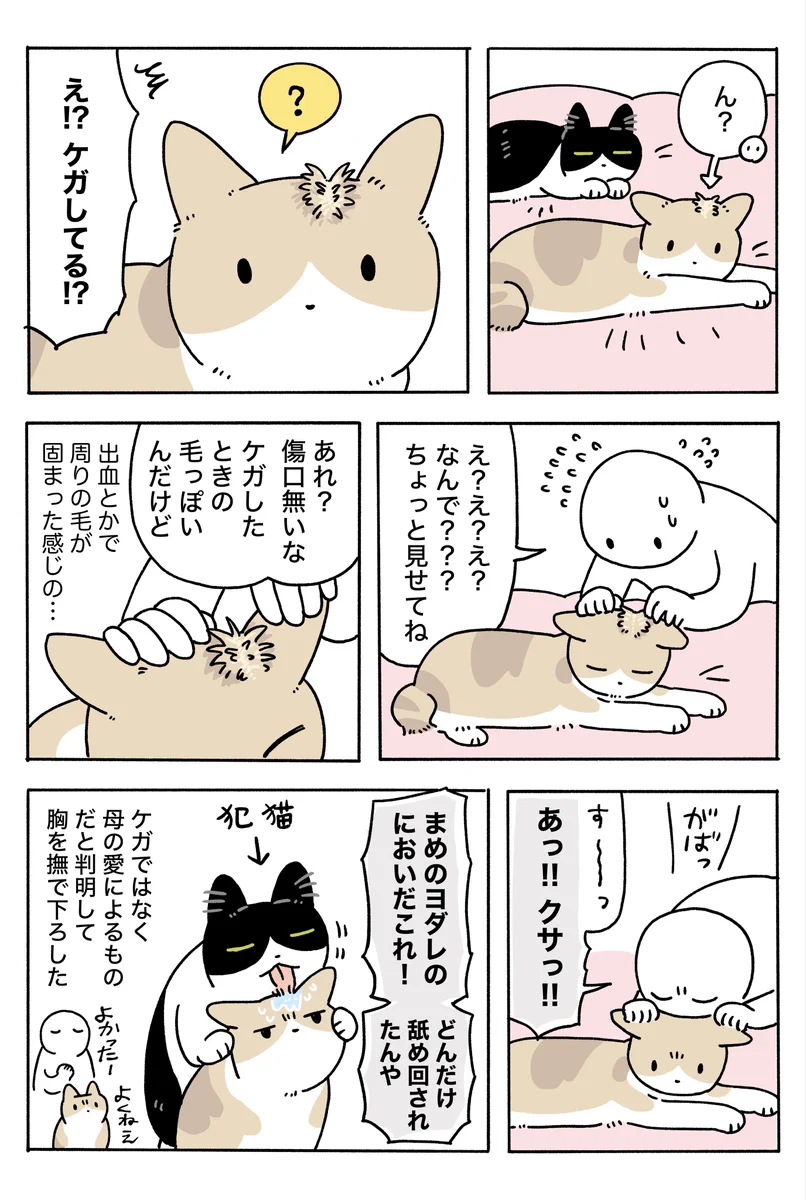 AKR🌱⑧巻発売中 on X: 