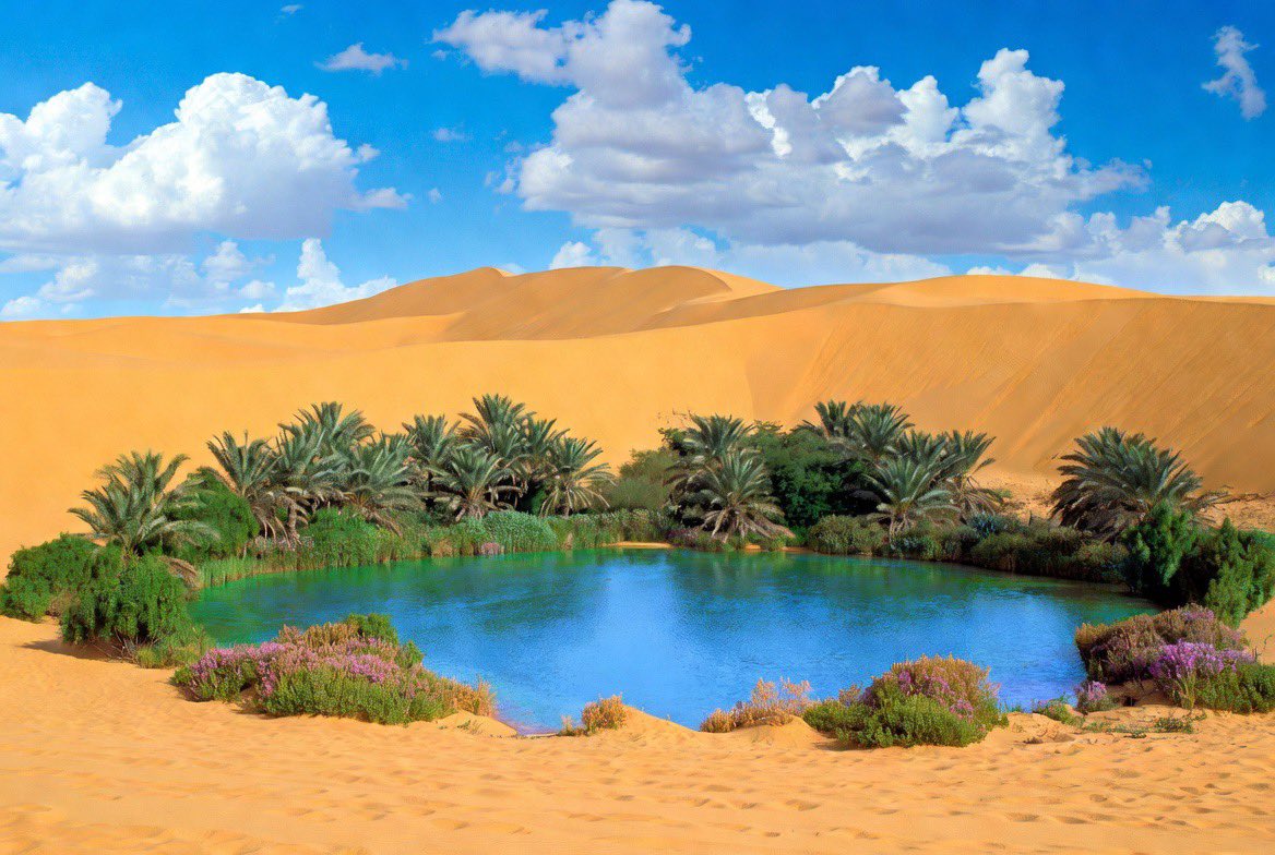 brenya_jhunior's tweet photo. Did You Know?
Oases aren’t magic — they’re formed when underground water surfaces in the desert!
Beauty from below. 🌿💧
#Oasis #Desert #Groundwater #NatureFacts #ExploreNature #GeographyIsCool https://t.co/TGROeEuz8c