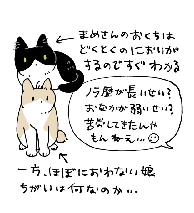 お口のニオイごと愛す 