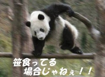 touchshite_pi's tweet photo. もしも大阪舞台の日程が違ってたらバタフライチャンスだったのか…………………って昨日新幹線の中で頭を抱えてたのに全然チャンス終わってなかった https://t.co/dacPvQxQ3t