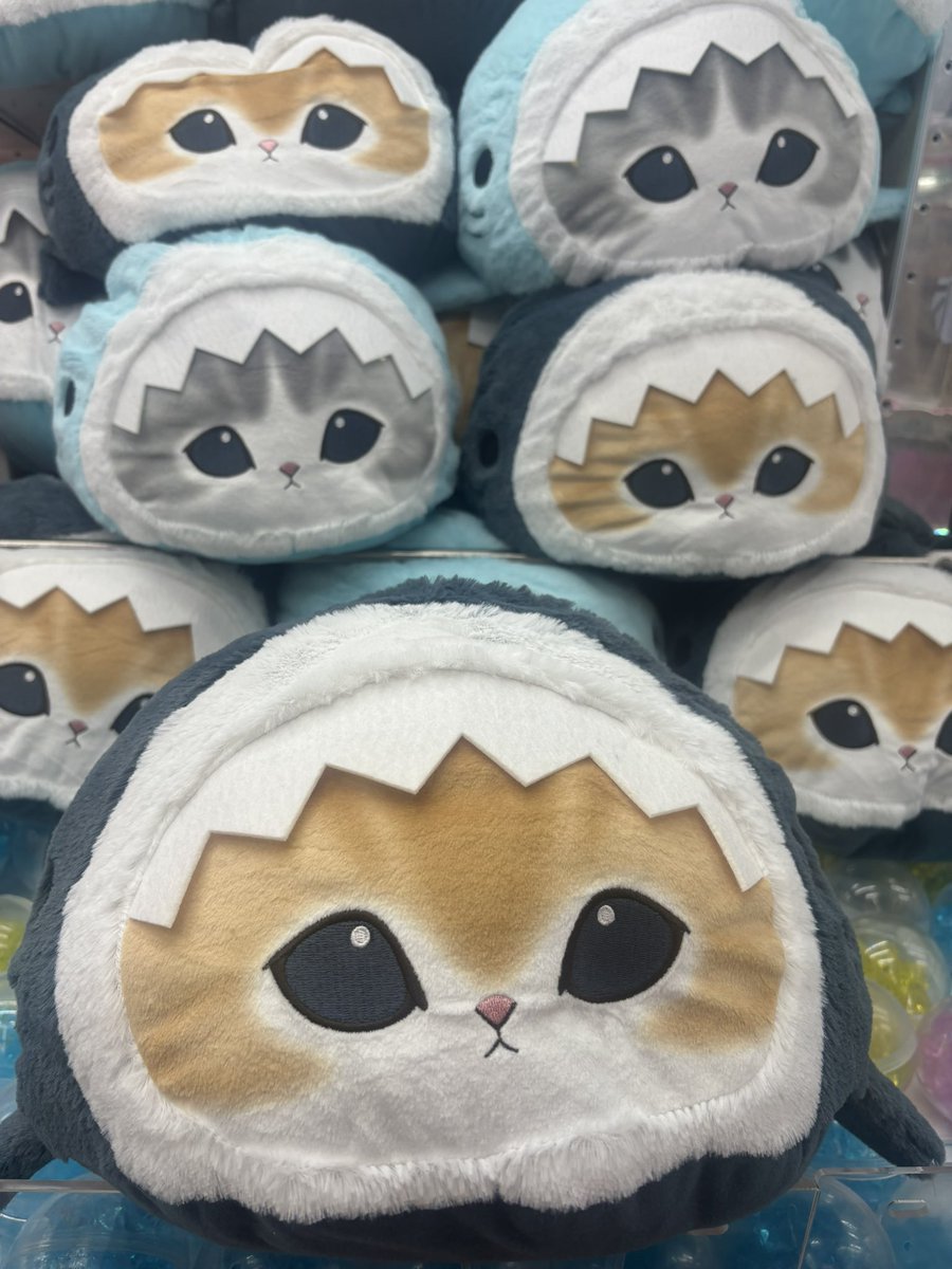 ぬいぐるみ🧸から新景品のお知らせです♪ #mofusand プレミアムドーム