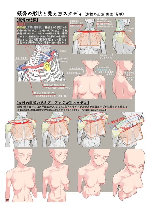 pixelvaultst's tweet photo. 📌 The clavicle is the key to making shoulders feel three-dimensional ✍️
Do you struggle more with the clavicle, ribcage, or shoulder placement? 👀 https://t.co/UbXb7DH3S6