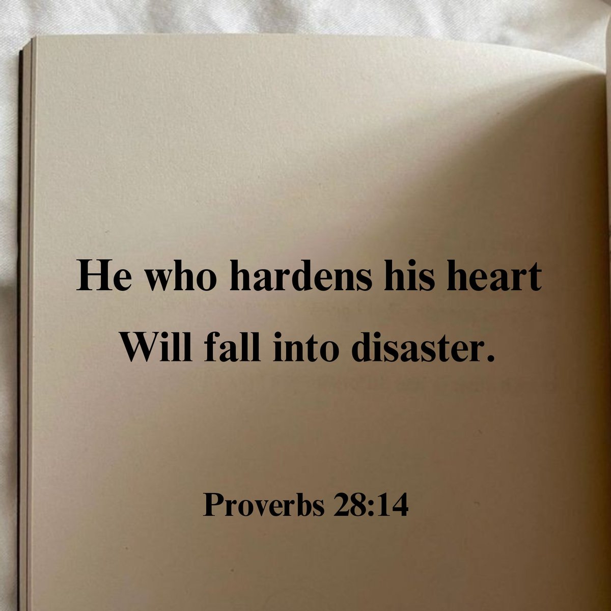Christ_Soldier8's tweet photo. Blessed and favored by God is the man who fears at all times, But he who hardens his heart  will fall into disaster.

Proverbs 28:14 
#jesus #bible #saviour #grace #faith #joy https://t.co/ruqGTrTuoK
