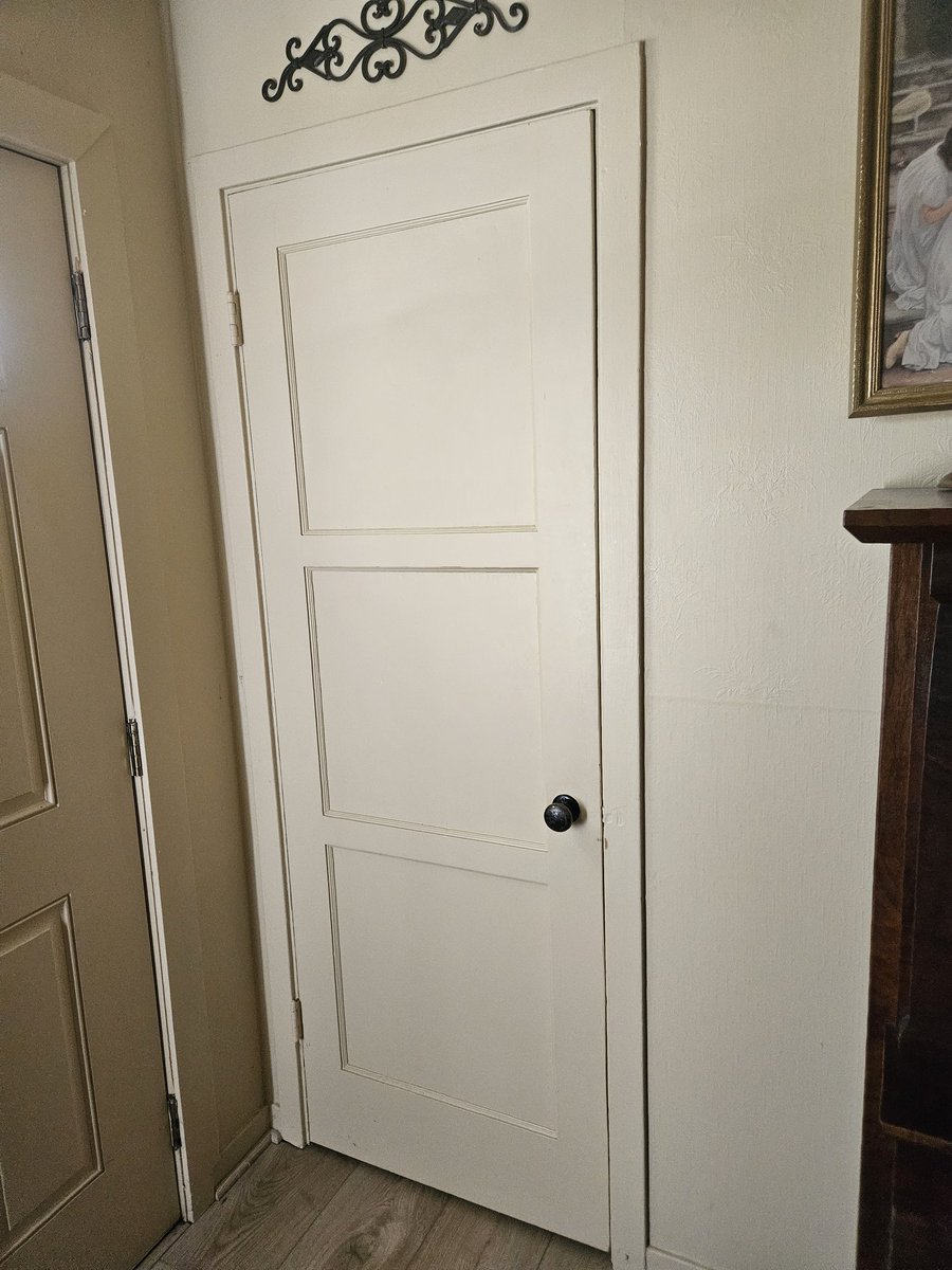 thunchies's tweet photo. I still have to stain it but Im un-landlord-specialing this original pine door from the 40s it had like 3 different colors of paint https://t.co/wmyGX1ycP4