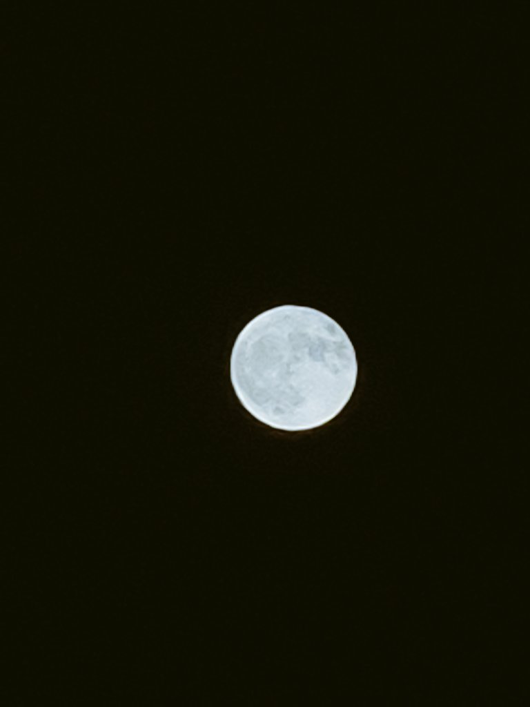 vicmateoa's tweet photo. @JeanSuriel Nuestra Luna Azul desde Gazcue Santo Domingo https://t.co/gnh56pG2e4