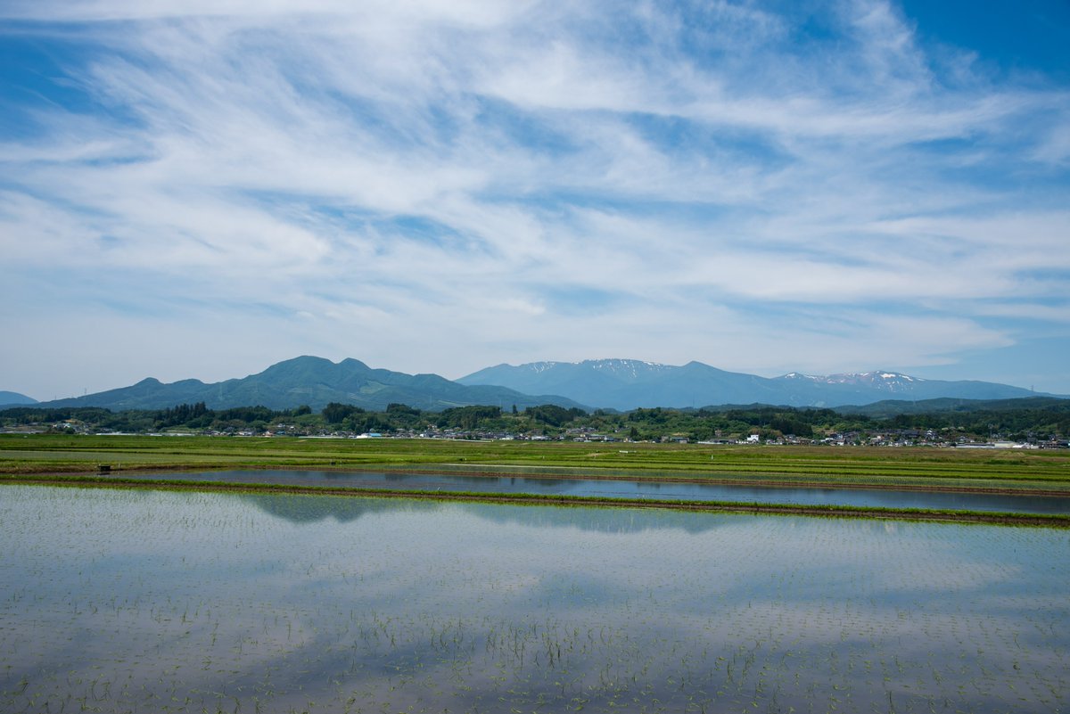 ZAOSAMAJA's tweet photo. 【ざおうさまのおさんぽ】
円田盆地に来てみたぞい🚶‍♂️
田んぼに逆さ蔵王が現れるのじゃぞ👀
青麻山も見事じゃ✨

▼場所はこちら
https://t.co/vLdaa2eWSA https://t.co/QtDDFYiGyr