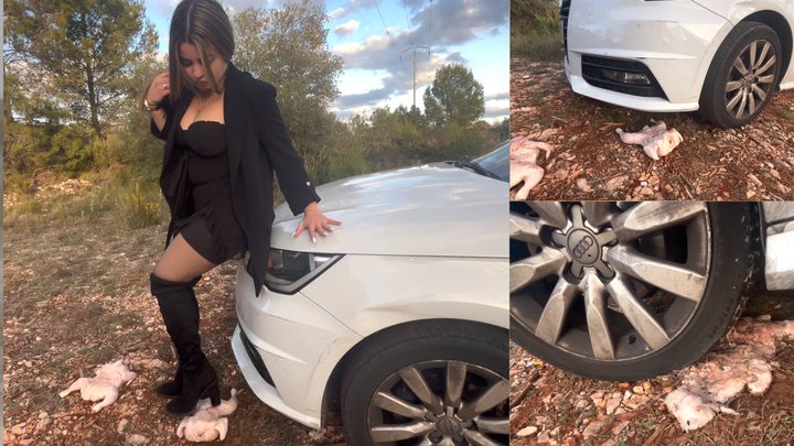 WLGStudio's tweet photo. I sold another #clip! Car Crush Extreme: Hot Girl TIRE CRUSHES Chicken, Then Finishes with BOOTS - 4k https://t.co/RS64HFj1Jy https://t.co/jPBldX8WDe