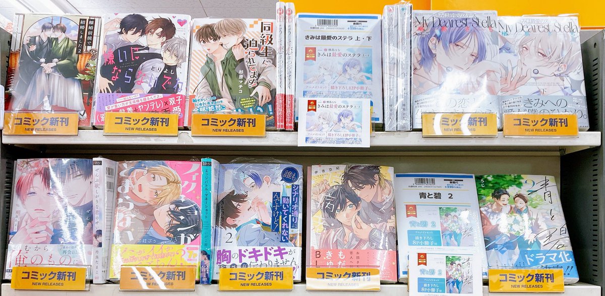 📚書籍入荷情報📚】 「きみは最愛のステラ(上)・(下) アニメイトセット