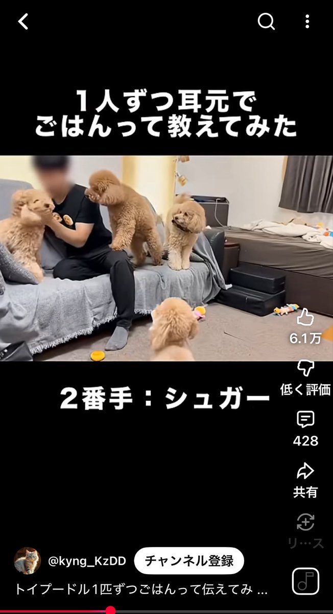 チーニョ@実況 tweet media