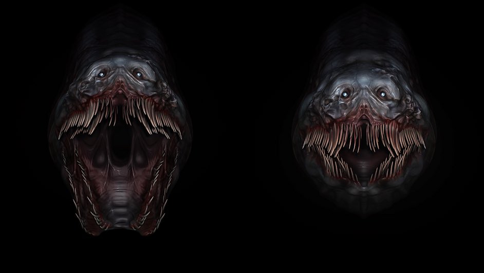 SandyDildo's tweet photo. Iโm actively crying over how absolutely BEAUTFUL AND STUNNING THIS EEL IS!!!!!!!! Iโm going to draw so much with all of these references
Again thank you so much @deadly_melodic you have been such an inspiration and muse ๐ซถ๐ป never stop creating! https://t.co/1vequXa4bd