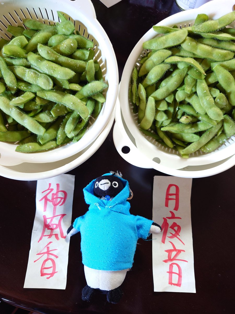 さて、農家さんから購入してきた大好きな枝豆 食べ比べしますっ！✨✨