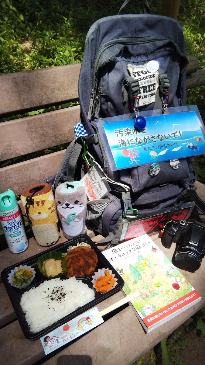 sirotama_7's tweet photo. 三芳町議会傍聴の日のお昼は福祉喫茶ハーモニーでお弁当買って平地林で鳥見ランチ😎
今日も安定の美味しさ😋
議会がお昼になる前に終わったから、最近は買えないことも多いお弁当を無事ゲット🔥それでも最後の１個💦
平地林はいつもよりカラスが多く、そのせいかカラスの鳴き声ばかりが聞こえる🐦‍⬛ https://t.co/rOrHZgO1wR