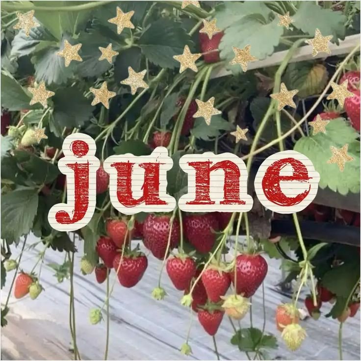 pleng_TJ's tweet photo. Hello, June! 🌤🍓🍕🍻
June wish : Wishing myself and all of you a happy month. May you have good relationships, not be too stressed from work or the people around you, and take care of yourselves. https://t.co/3Ama3K7SmI
