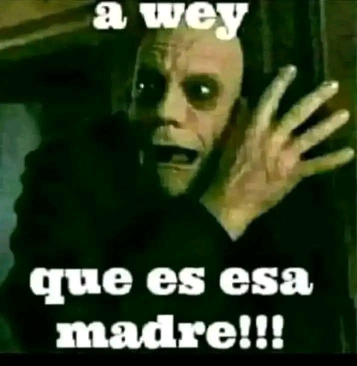 Gallo27F's tweet photo. @spososvaldez https://t.co/yFeLEegaHR