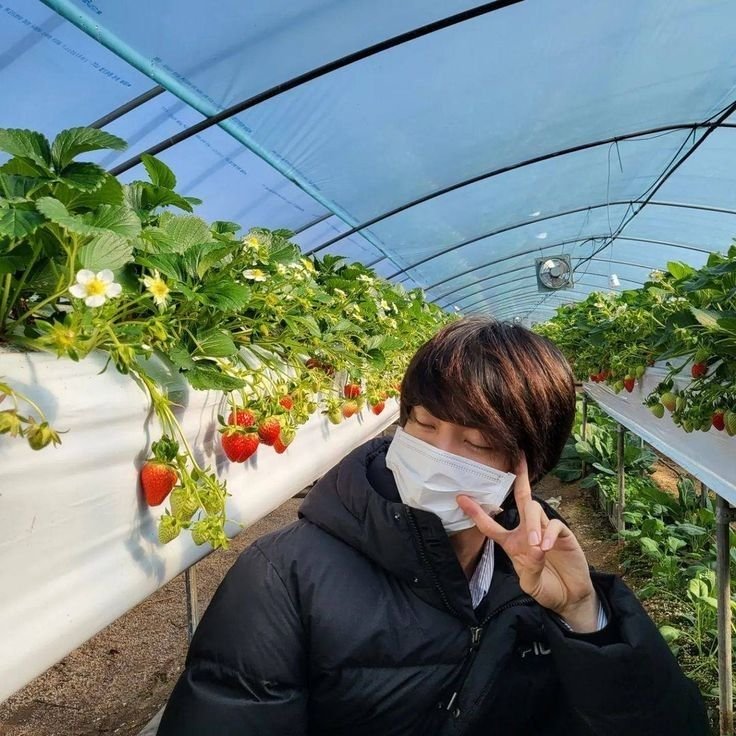 pleng_TJ's tweet photo. Hello, June! 🌤🍓🍕🍻
June wish : Wishing myself and all of you a happy month. May you have good relationships, not be too stressed from work or the people around you, and take care of yourselves. https://t.co/3Ama3K7SmI
