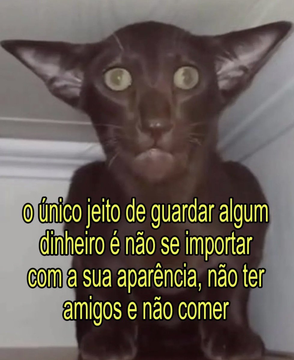 odaradeverdade's tweet photo. vocês tem conseguido guardar dinheiro? https://t.co/v1STEOQ1Cz
