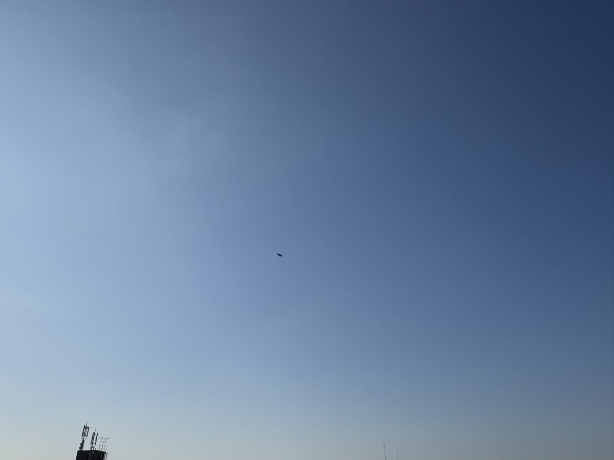 あたり前田 tweet media