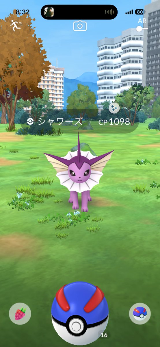 moya11111's tweet photo. 野生の進化系色違いは嬉しい！✨
#ポケモンGO 
#ポケモンGO色違い https://t.co/OEMnjwV0kK