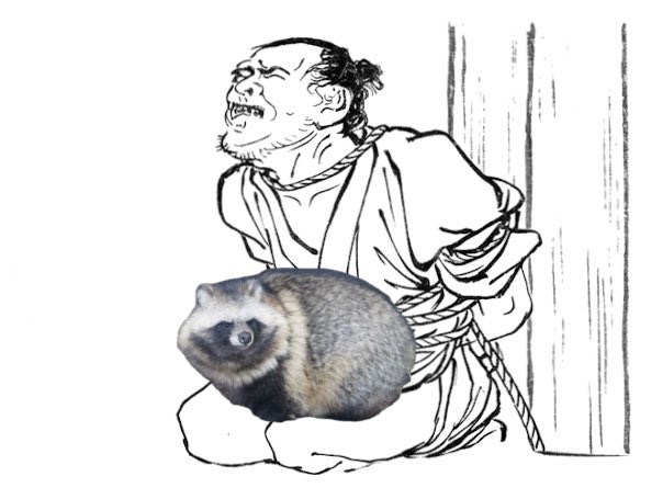 TAKE_MofuLife's tweet photo. 【狸抱之刑】

罪人柱ニ括付　其之膝上狸置事
是感触モフ〻成レバ　罪人恍惚也

一刻後　罪人之膝上熱帯　狸不動膝上也
又　手足麻痺開始也
罪人不耐久ニテ　狸ニ微振動与ヘレバ
狸不安眼差向ケ　抗議之声発スル也

罪人過剰精神的負荷也 https://t.co/QOJQxBtzeG