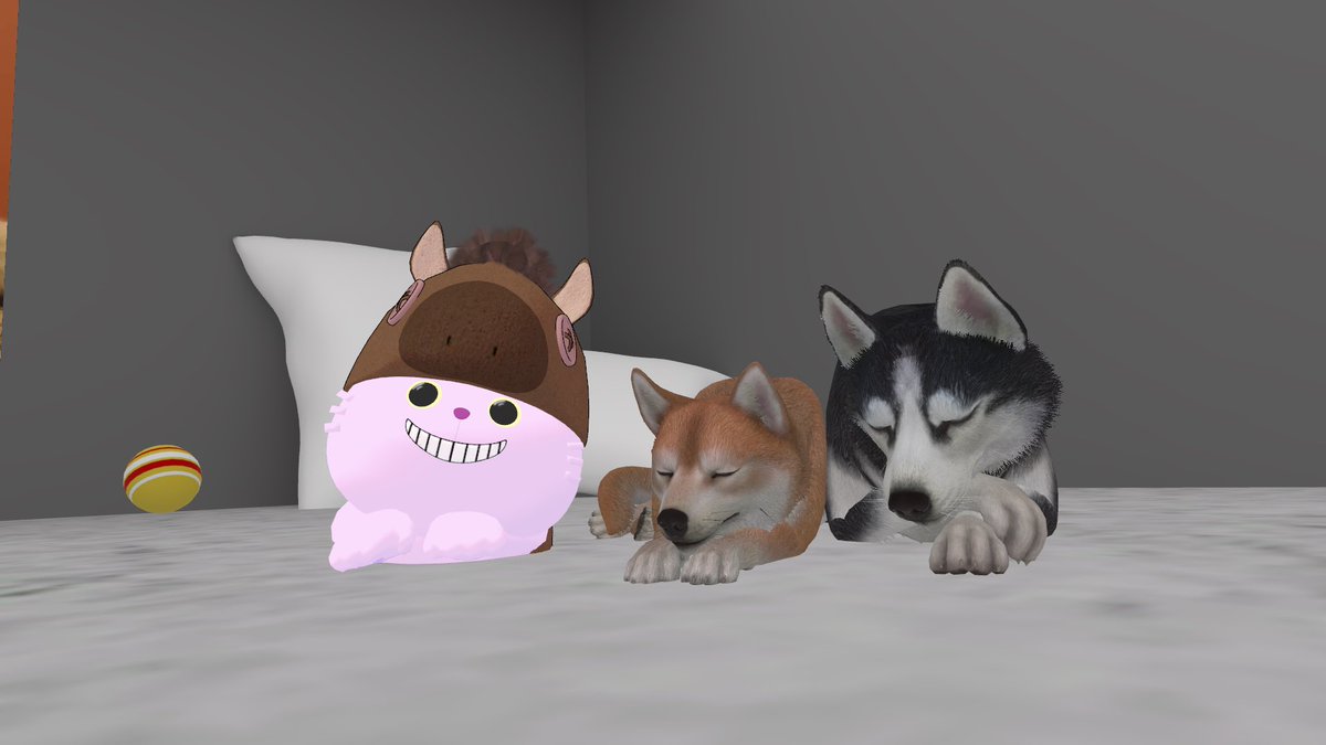 seri_mar0's tweet photo. おはよ(ᐡっˉ͈̀꒳ˉ͈́ ᐡ)
10時間も寝た⭐️

自分は犬だと思っているにゃんごろう
 #きょうのにゃんごろう https://t.co/XFcimbpdgB