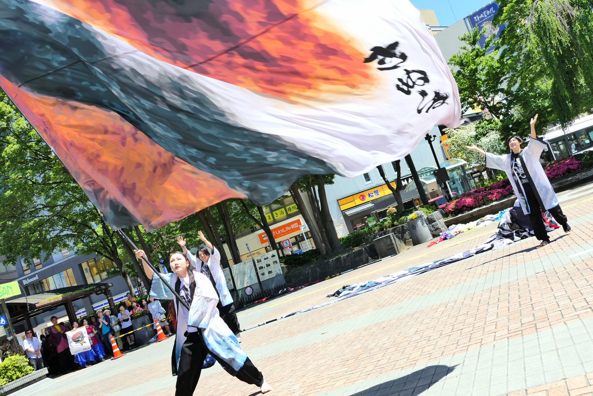 桜小町 tweet media