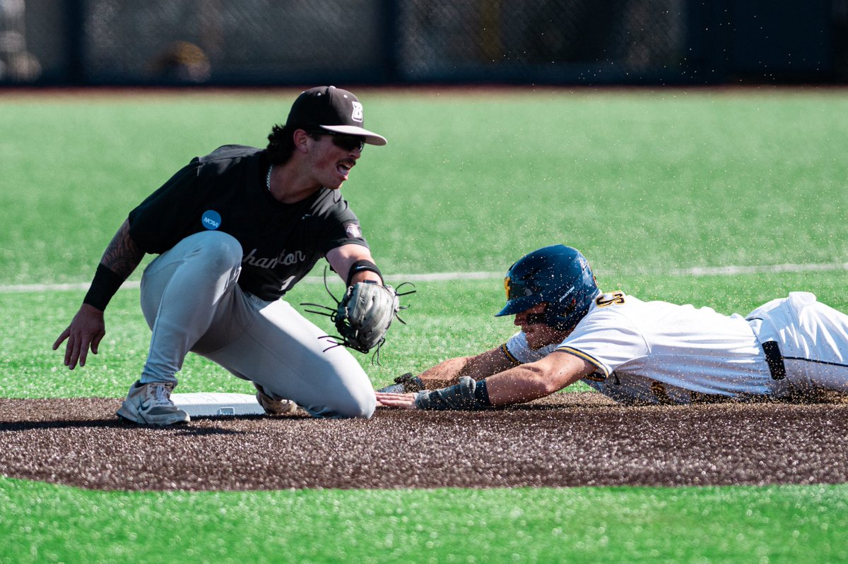 BenjaminPowell_'s tweet photo. My top frames from this weekend! 📷⚾️

#WVUBaseball #SportsPhotography #CollegeBaseball https://t.co/X8pGSEAnTj