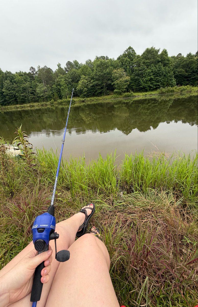 firecracker_22's tweet photo. here fishy fishy https://t.co/19jEWsrHrq