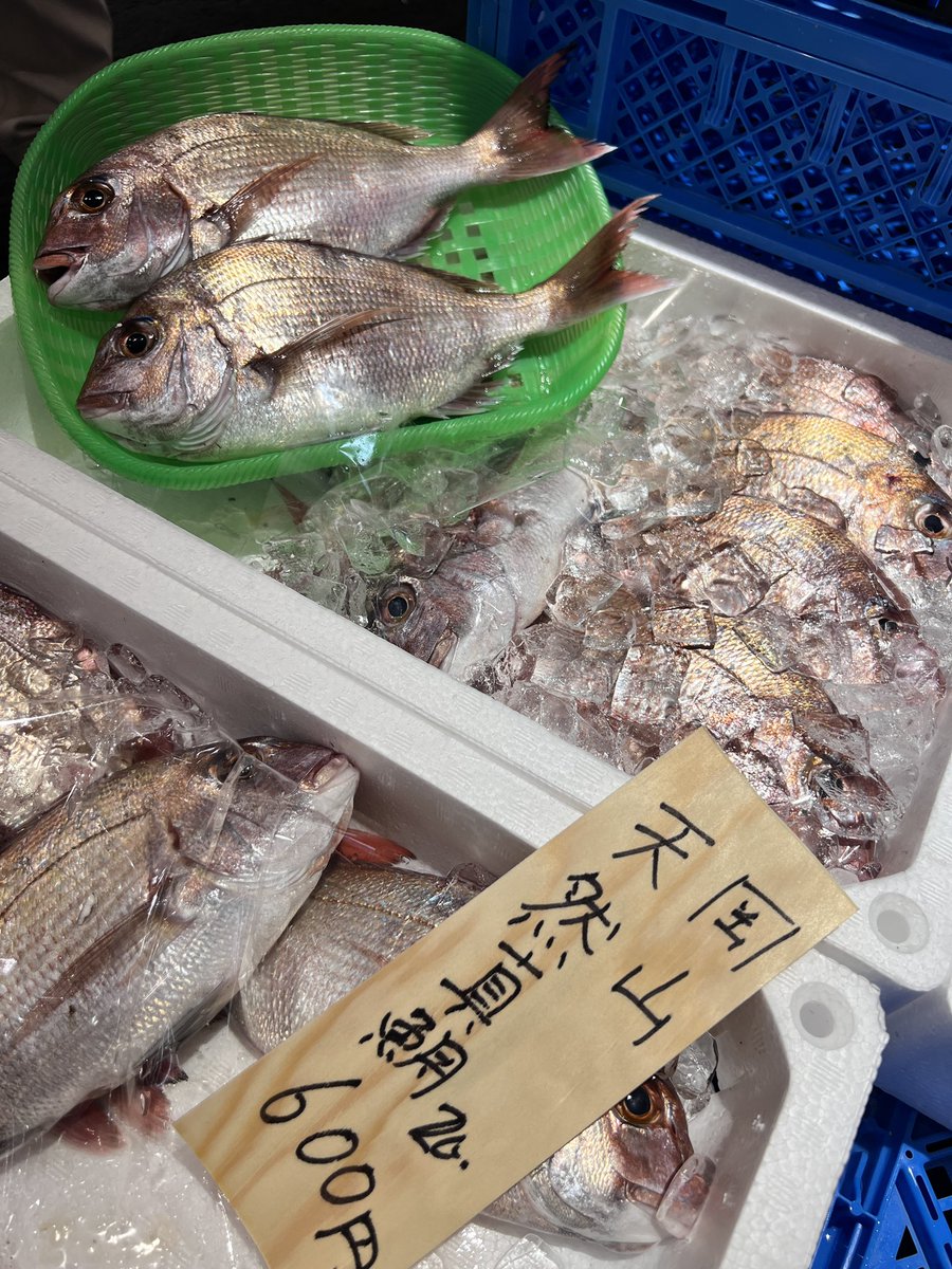 Rayos7's tweet photo. 鯛が安い🤩25cmぐらいある https://t.co/6oDmcQbNIi