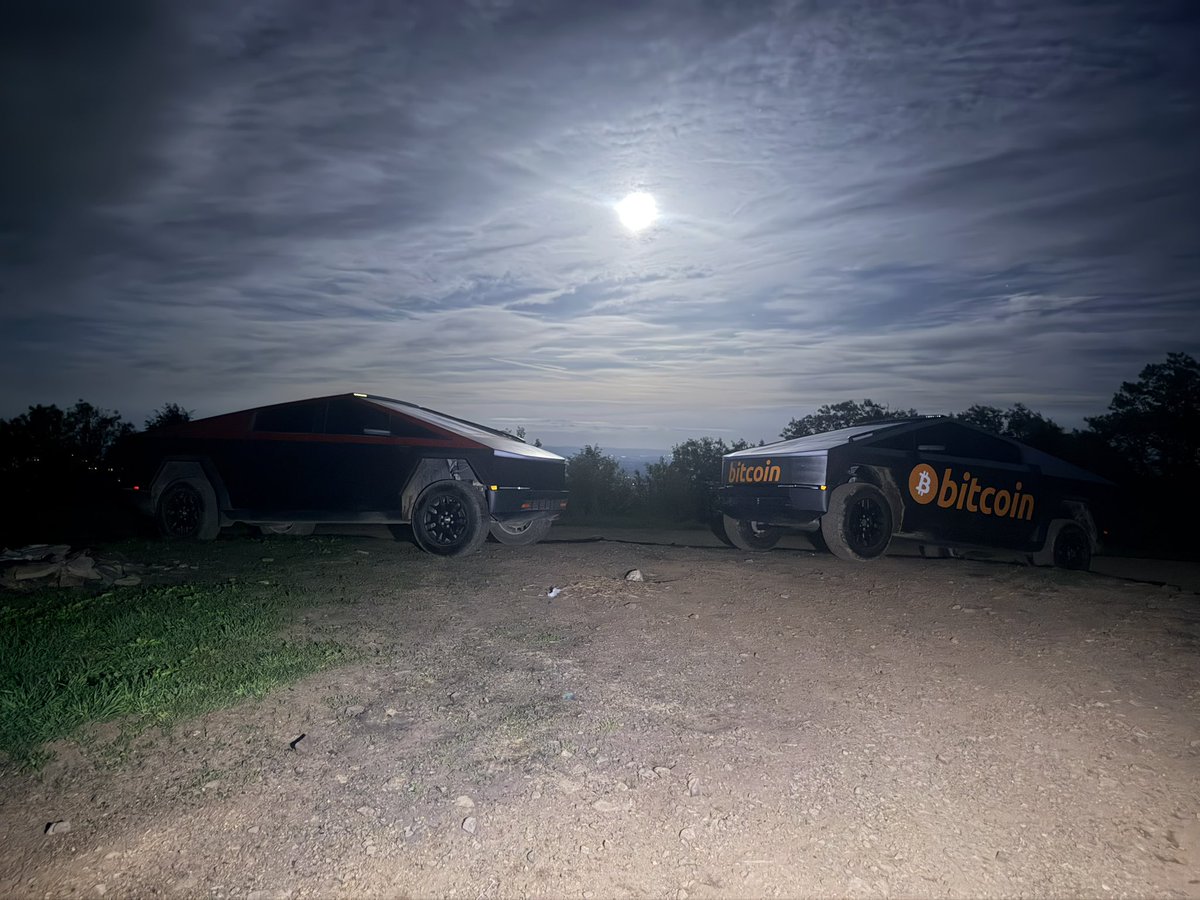 RedlineRory's tweet photo. Beasts together in the moonlight https://t.co/Q9sEZwzrRs