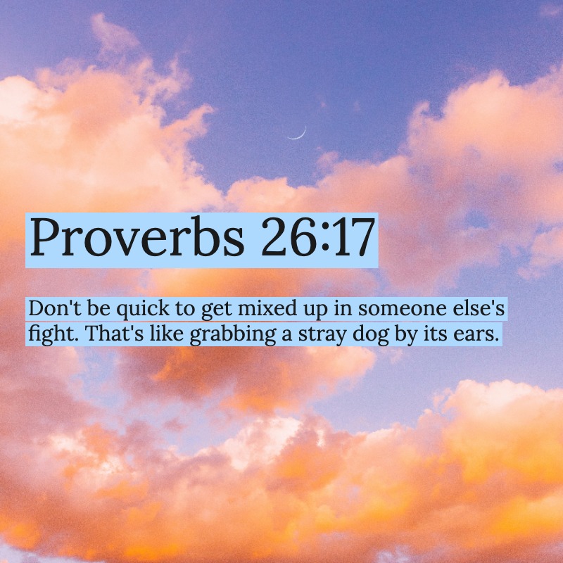 DivineProverbs's tweet photo. https://t.co/xqHTqXkX6m