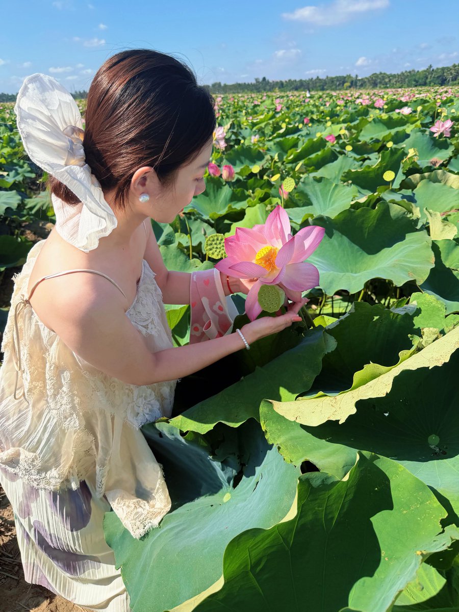 xman646470's tweet photo. 荷花🪷开了，真的很美……
#淮南
#焦岗湖风景区 https://t.co/KK1irCahGa