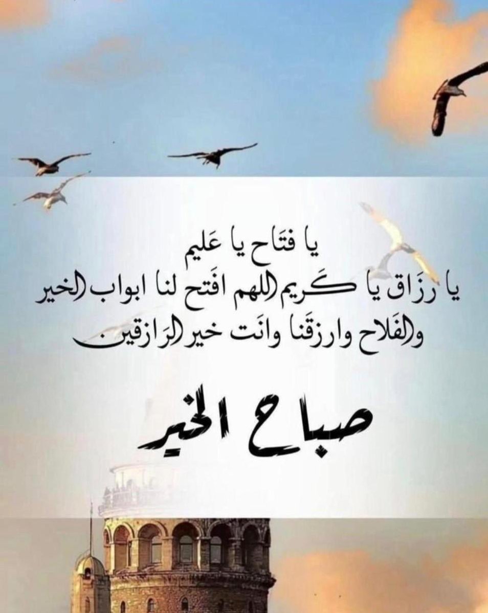 محمد الجابري tweet media
