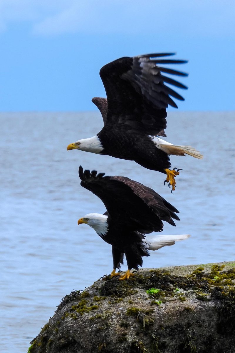 American2Jr's tweet photo. @WithinLimits24 https://t.co/DCj1ceZel2