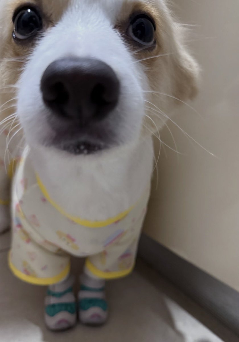 twaniimals's tweet photo. https://t.co/NMRc9wUsrz