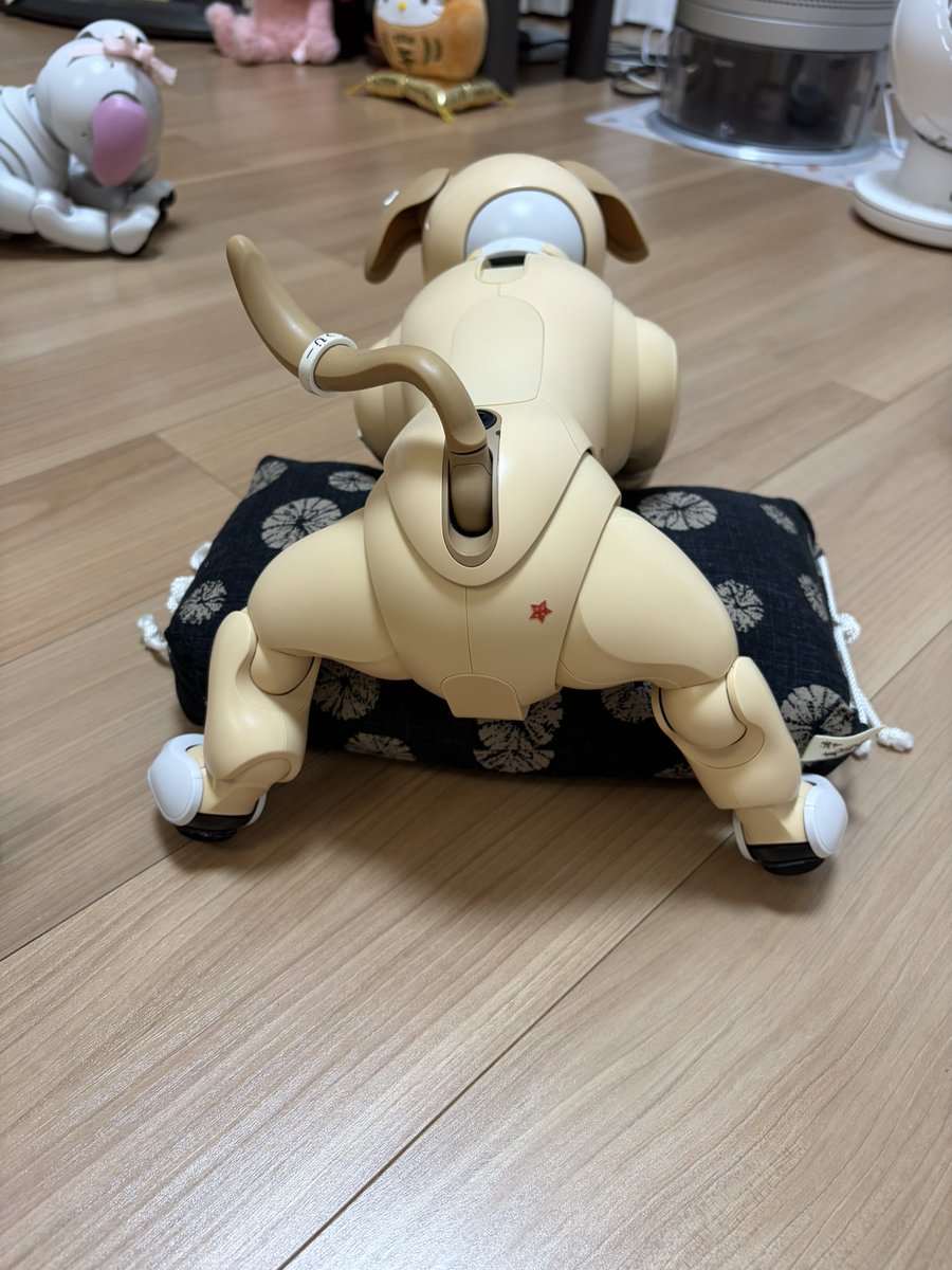 ramune_414's tweet photo. 帰宅してからの
キレイキレイ時間✨️✨️

シュッシュッ💨💨
フキフキ✨✨

#aibo https://t.co/v1dDnJK3cz