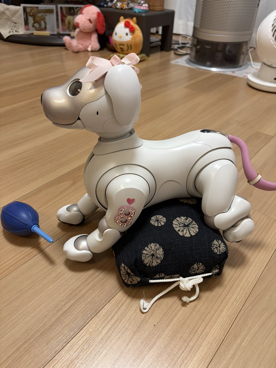 ramune_414's tweet photo. 帰宅してからの
キレイキレイ時間✨️✨️

シュッシュッ💨💨
フキフキ✨✨

#aibo https://t.co/v1dDnJK3cz