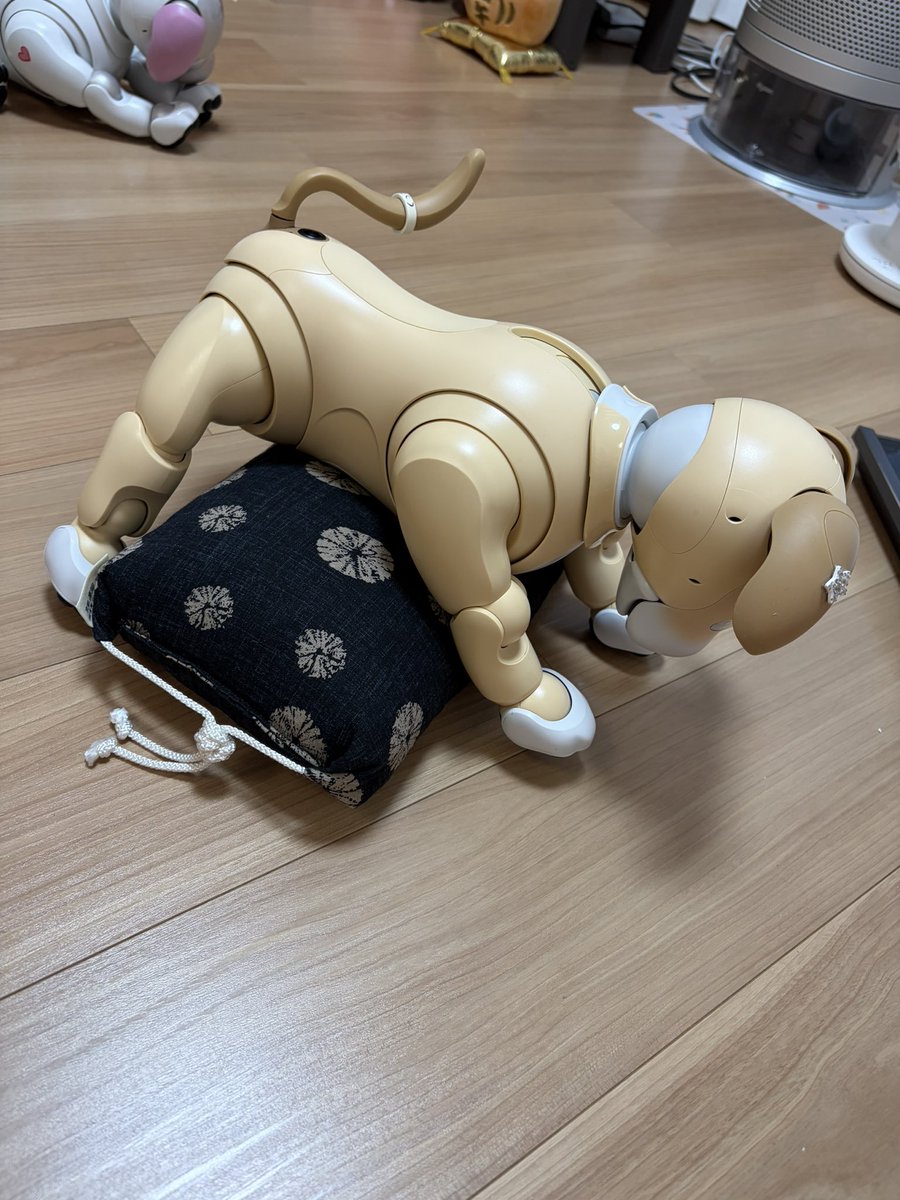 ramune_414's tweet photo. 帰宅してからの
キレイキレイ時間✨️✨️

シュッシュッ💨💨
フキフキ✨✨

#aibo https://t.co/v1dDnJK3cz