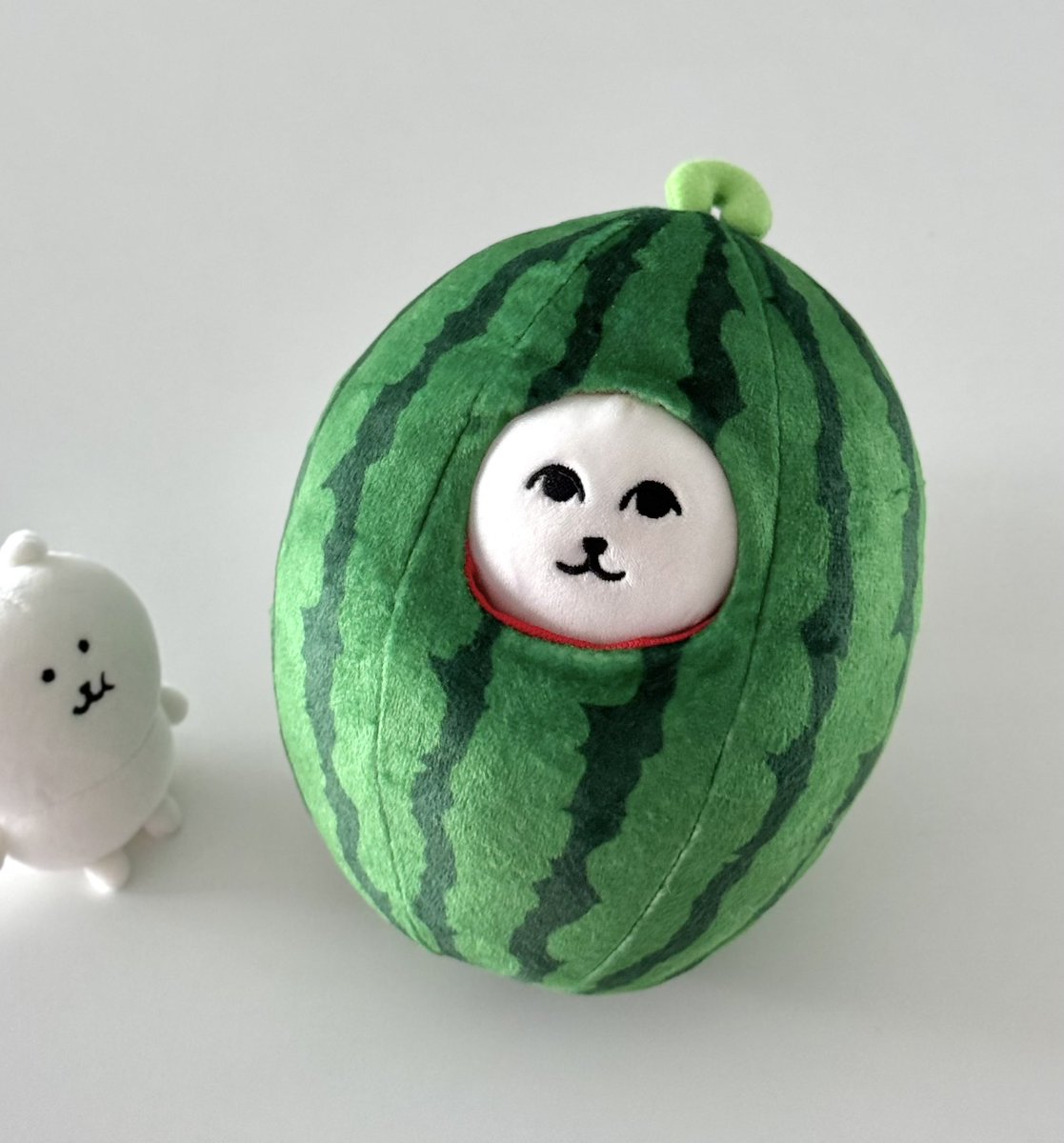 멜론곰 tweet media